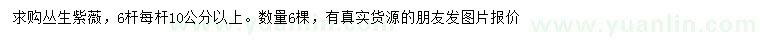 求購叢生紫薇