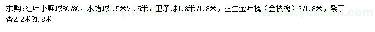 求購紅葉小檗球、水蠟球、衛(wèi)矛球等