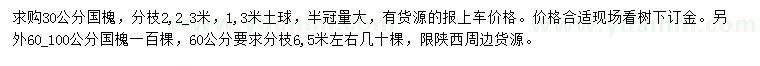 求購30公分國槐、60-100公分國槐