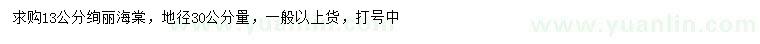 求購(gòu)地徑30公分量13公分絢麗海棠