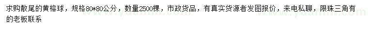 求購(gòu)80*80公分黃榕球