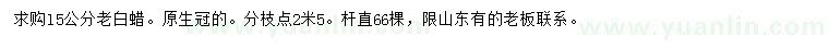 求購15公分老白蠟