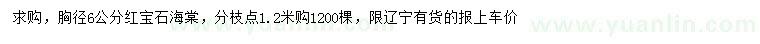 求購胸徑6公分紅寶石海棠