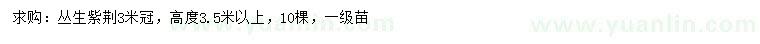 求購冠幅3米叢生紫荊