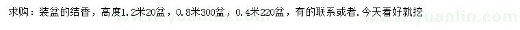 求購(gòu)40、80、120公分結(jié)香