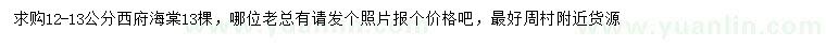 求購12-13公分西府海棠