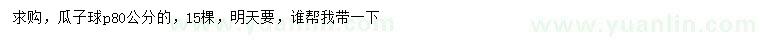 求購(gòu)冠幅80公分瓜子球