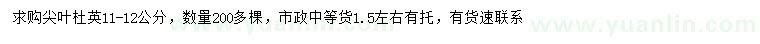 求購11-12公分尖葉杜英