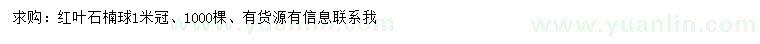 求購冠幅1米紅葉石楠球