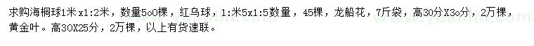 求購海桐球、紅烏球、龍船花等