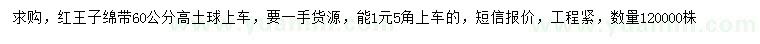 求購高60公分紅王子綿帶