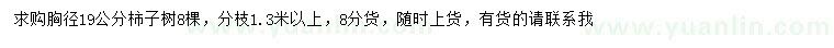 求購胸徑19公分柿子樹