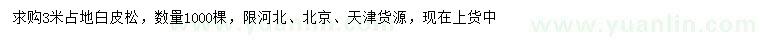 求購3米白皮松