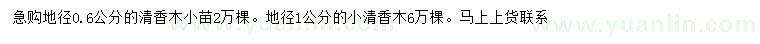 求購地徑0.6、1公分清香木小苗