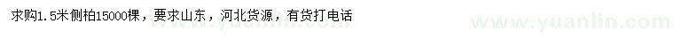 求購1.5米側(cè)柏