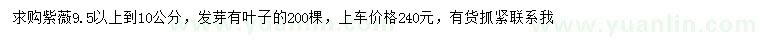 求購9.5-10公分紫薇
