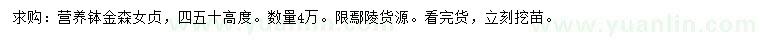 求購高40、50公分金森女貞