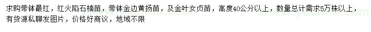 求購紅火陷石楠苗、金邊黃楊苗、金葉女貞苗