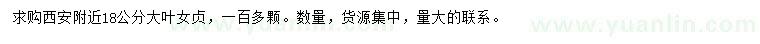 求購18公分大葉女貞