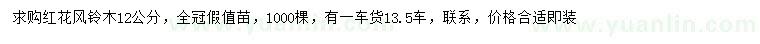 求購(gòu)12公分紅花風(fēng)鈴木