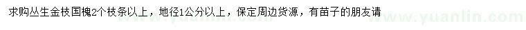 求購叢生金枝國槐