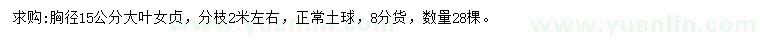 求購15公分大葉女貞