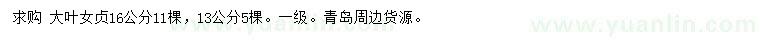 求購(gòu)13、16公分大葉女貞