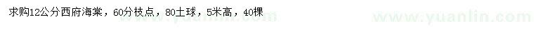 求購(gòu)12公分西府海棠