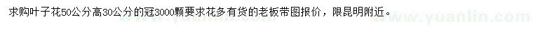 求購高50公分葉子花
