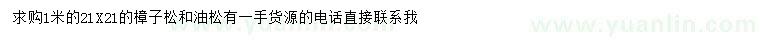 求購(gòu)1米樟子松
