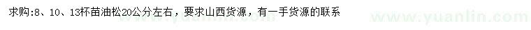 求購(gòu)20公分左右油松
