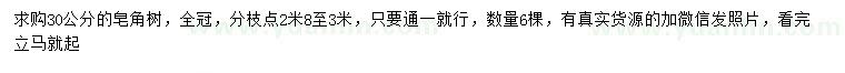求購30公分皂角樹