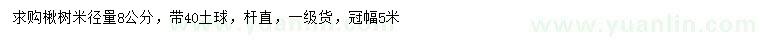 求購米徑量8公分楸樹