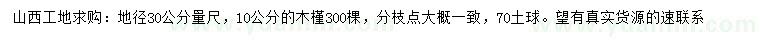 求購地徑30公分量10公分木槿