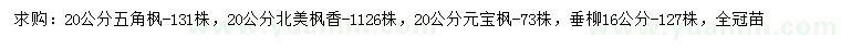 求購五角楓、北美楓香、元寶楓等