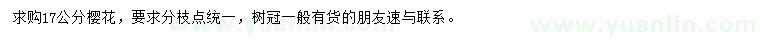 求購17公分櫻花