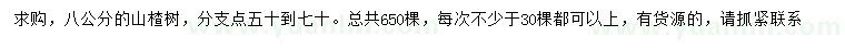求購8公分山楂樹
