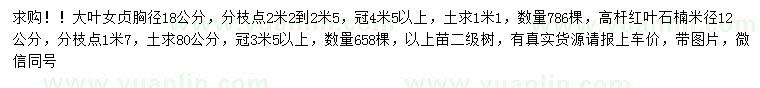 求購胸徑18公分大葉女貞、米徑12公分高桿紅葉石楠