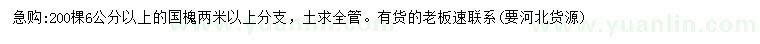 求購(gòu)6公分以上國(guó)槐