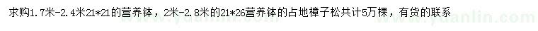 求購(gòu)1.7-2.4米樟子松