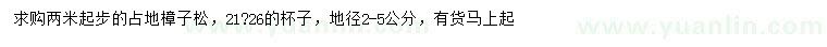 求購地徑2-5公分樟子松