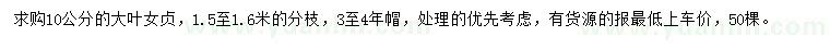 求購10公分大葉女貞