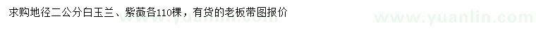 求購地徑2公分白玉蘭、紫薇