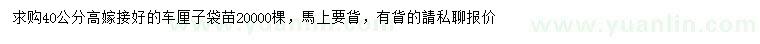 求購高40公分車(chē)厘子