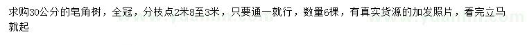 求購30公分皂角