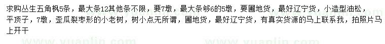 求購五分枝叢生五角楓、小造型油松