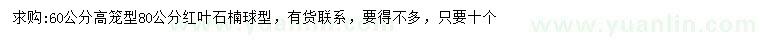 求購高60公分紅葉石楠球
