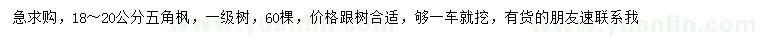 求購18-20公分五角楓