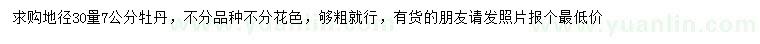 求購30量7公分牡丹