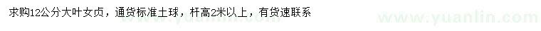 求購(gòu)12公分大葉女貞